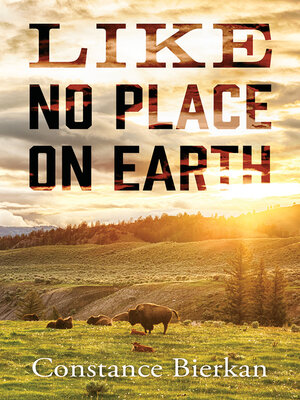 cover image of Like No Place on Earth